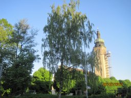 IMG_2500